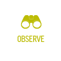 observe